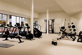 Bi-level fitness center with weights, cardio equipment, fitness on demand, trx and more